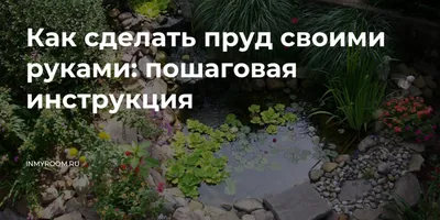 Как создать декоративный пруд и ухаживать за ним – блог интернет-магазина  Порядок.ру