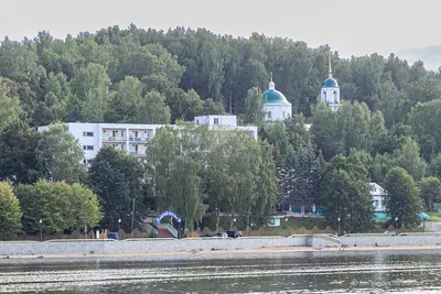 Медведев на своей секретной даче построил домик для уточки - ФОКУС
