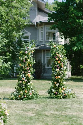 garden roses, плетистые розы в саду, фото плетущиеся розы на даче, плетистые  розы на арке, роза плетистая алоха фото и описание, плетистая роза,  Флористика на свадьбу Москва