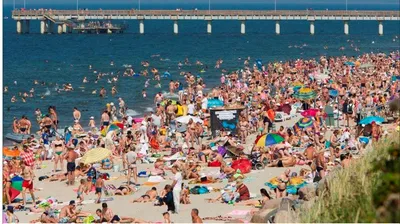 Пляжи Туниса. Лучшие пляжи в Тунисе по версии Туту.ру