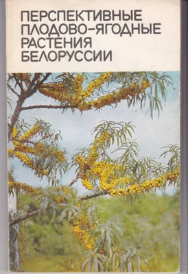 Картинка плодовых растений на фоне природы