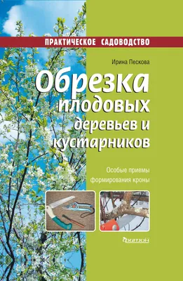 Как посадить саженцы плодовых деревьев и кустарников. Инструкция.