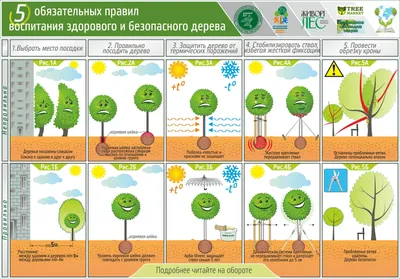 С детьми дома. Настя Федотова - В съёмном доме во дворе растёт персиковое  дерево, ждем созревания плодов. Я впервые вижу персиковое дерево. В первом  съёмном доме, у нас во дворе рос гранат,