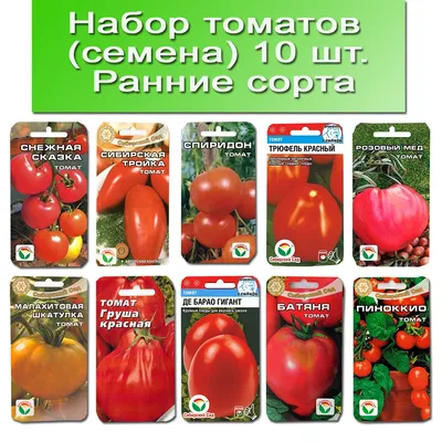 Уменьшанный вдвое плоды папайи оранжевый с крошечными семена в пышной  папайи с фруктами семян семена небольшим полным витаминов зд Стоковое  Изображение - изображение насчитывающей внутрь, малюсенько: 212055337