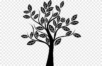 черно-белое дерево png | PNGEgg