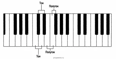 Самая трогательная мелодия игра на | Пианино, Аккорды для фортепиано,  Тетрадь по музыке