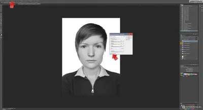 Adobe Photoshop CS6 - «Как сделать фото на документы в фотошопе самому?  Подробный урок от бывшего работника фотосалона. На что обратить внимание  готовясь к фотосъемке на документы, как дома, так и в