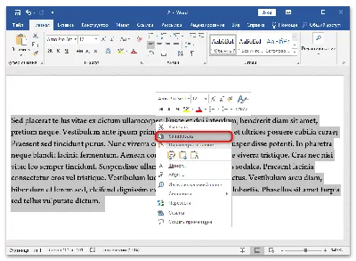 Шаблон Бирюкова Ворд (ШБВ): Microsoft MS Word | ВКонтакте