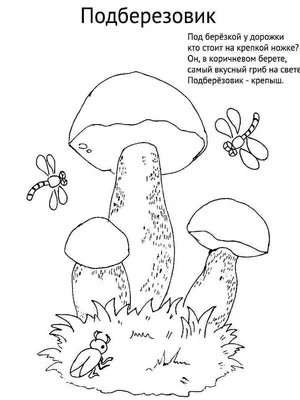 Раскраски Подберёзовик распечатать бесплатно в формате А4 (5 картинок) |  RaskraskA4.ru