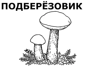 Раскраски Подосиновик. Скачать или распечатать раскраски Подосиновик