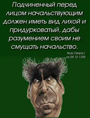 Подчиненный перед лицом начаьствующим должен иметь вид АИХОЙ и  придурковатый дабы разумением своим не смущать начальство Указ Петра _ от  09 12 1709 - выпуск №746753