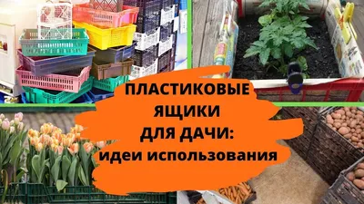 Блок контейнер для дачи Амур-3 (ДВП) 5.85x2.4 Площадь: 14.04 м² с тамбуром  под ключ в Вологде и области