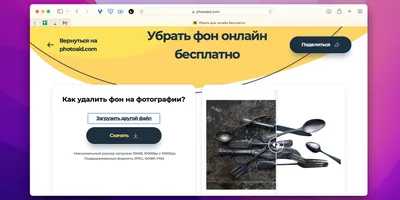 Delfa — Кедровые продукты и целебные масла