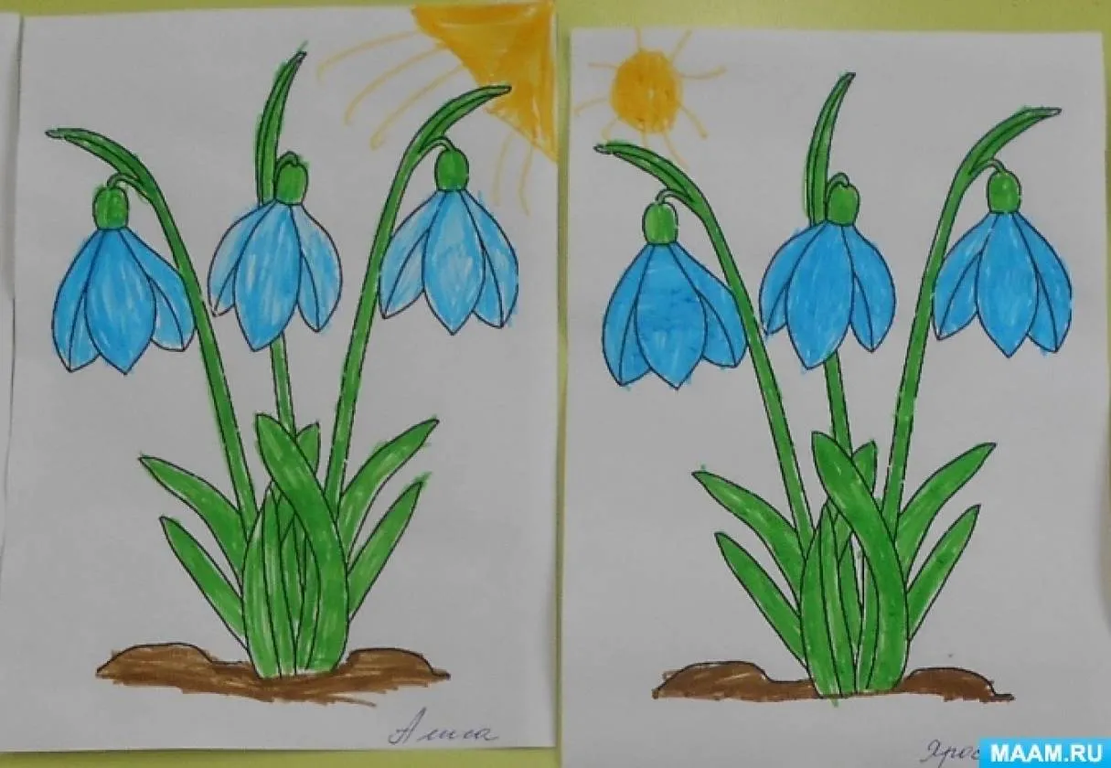 Рисование подснежники в подготовительной группе. Рисование весенние цветы в подготовительной группе. Рисование первоцветы в подготовительной группе. Подснежник поэтапное рисование для детей. Подснежник рисунок 2 класс