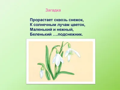 ✂ ТВОРЧЕСКАЯ СУББОТА *** Вот и наступила весна. Мы подготовили... |  Интересный контент в группе Дошкольные развивашки в 2023 г | Поделки для  детей, Ватные диски, Поделки на день матери