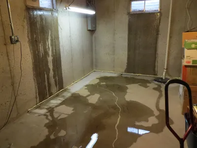 Затопило подвал - что делать и как высушить подвальное помещение?
