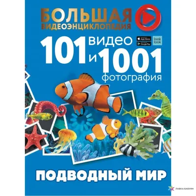 Удивительный подводный мир и его обитатели - встреча с автором (15 фото) |  Российское фото | Дзен