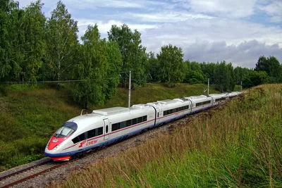 Набор железной дороги скоростной поезд \"Сапсан\" Piko - купить с доставкой  по выгодным ценам в интернет-магазине OZON (255342861)