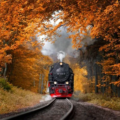 вид из поезда осень картинки: 8 тыс изображений найдено в Яндекс.Картинках  | Scenic railroads, Train, Nature travel