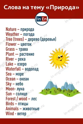 Запоминай слова легко. Природа, времена года, погода. Тематические картинки  на английском языке. Цветкова Т.В. - купить книгу с доставкой | Майшоп