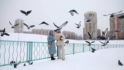 Погода в Москве на новогодние праздники 2024—2025: прогнозы синоптиков,  народные приметы