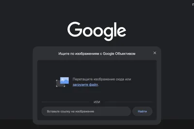 Поиск по картинке гугл. Google image фотографу