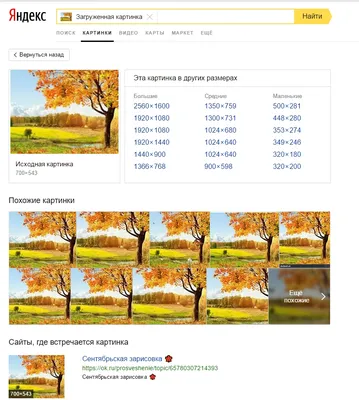 алгоритм поиска по картинке - Stack Overflow на русском