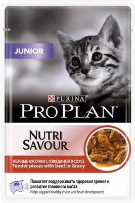 Корм для котят PURINA ONE Kitten до 1 года, с курицей и цельными злаками  сух. купить в интернет-магазине Бетховен