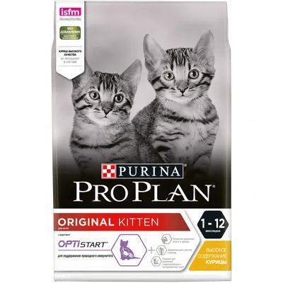 Пауч Purina Pro Plan JUNIOR, для котят, с говядиной купить с доставкой в  интернет-магазине зоогастроном.ру