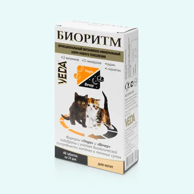 Как играть с котенком| Игры и популярные игрушки