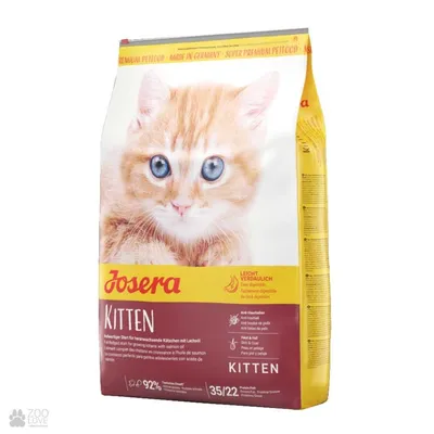 Apicenna празицид от глистов для котят: суспензия плюс | Petshop.ru