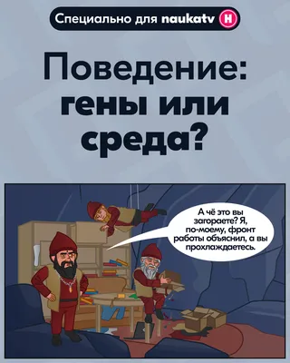 Как составить контент-план постов? О чем писать посты? Что писать в  Инстаграм? Где брать идеи ст… | Подсказки писателю, Дневные цитаты,  Маркетинг для малого бизнеса