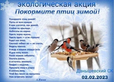 Покормите птиц зимой картинки фото
