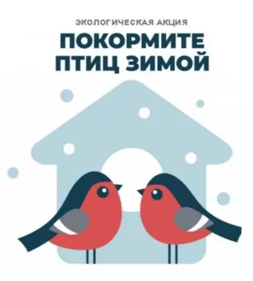 Акция: «Покормите птиц зимой!» | Уездные вести