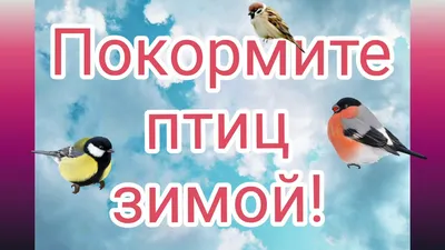 Покормите птиц зимой | ВКонтакте