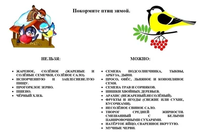 Покормите птиц зимой - Сайт национального парка \"Смоленское поозерье\"