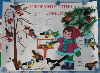 Примите участие в областном конкурсе \"Покормите птиц зимой\" | Русское  географическое общество