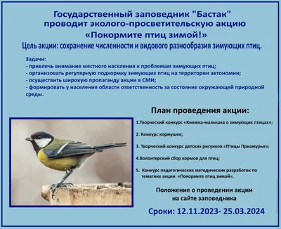 Покормите птиц зимой!» | Государственный природный заповедник Малая Сосьва