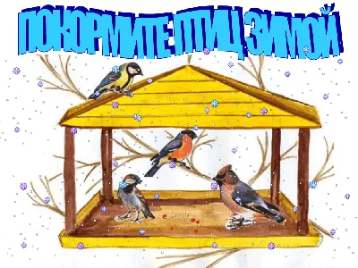 Всероссийская акция «Покормите птиц» - Сайт национального парка \"Смоленское  поозерье\"
