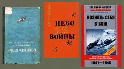 Я — Покрышкин. Атакую!» - Наука побеждать - Статьи - Журнал Свой - Газета  «Культура»