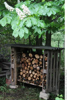 Дровница уличная поленница из дерева VUOKSA-WOOD дровник для дачи и бани  \"Лахта\" — купить в интернет-магазине по низкой цене на Яндекс Маркете