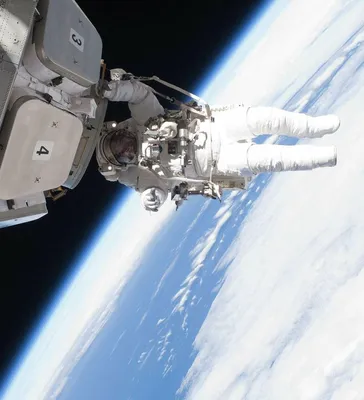 Миллиардер из США заплатил SpaceX за первый гражданский полет в космос — РБК