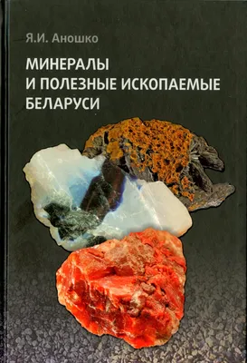 Занимательное пособие по географии для дошкольников. | География, География  для детей, Дошкольник