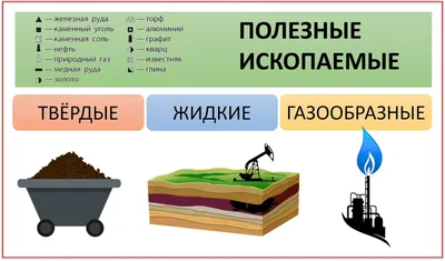 Перевернутый класс Селезневой Елены: ПОЛЕЗНЫЕ ИСКОПАЕМЫЕ