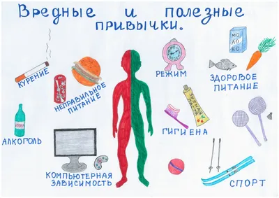 Формируем полезные пищевые привычки | Телефон доверия 8-800-2000-122