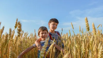 Поля С Днем Рождения Картинки фотографии