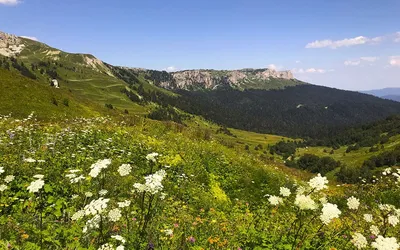 Красивая Поляна - фото и картинки: 60 штук