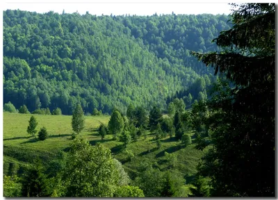 Царская поляна в Гунибе