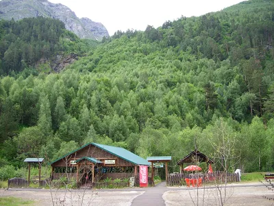 Яворова поляна Гузерипль Адыгея ЛагоНаки (как добраться, экскурсии, фото,  видео) все о Яворовой Яровой поляне в Лаго-Наки отзывы | официальный сайт  ARMOLA.ru