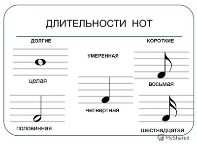 Половина Нота Четверть ноты Музыкальная нота Целая нота Восьмая нота,  высокое разрешение, черный, музыкальная нотация, ритм png | Klipartz